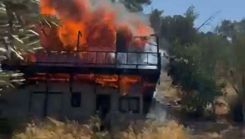Bodrum'da Yangın Paniği: Ekipler Seferber Oldu ve Bilançoyu Açıkladı