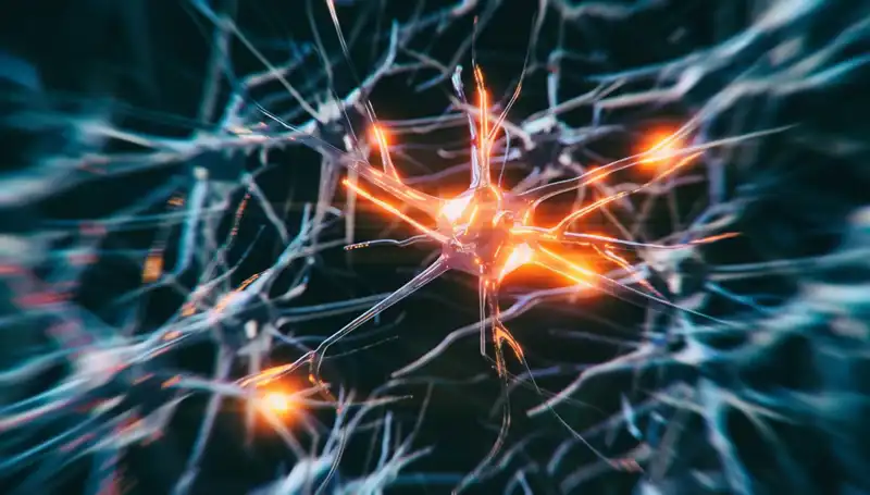 Alzheimer Vakalarındaki Artışın Gerçek Nedenleri ve Gelecek Öngörüleri