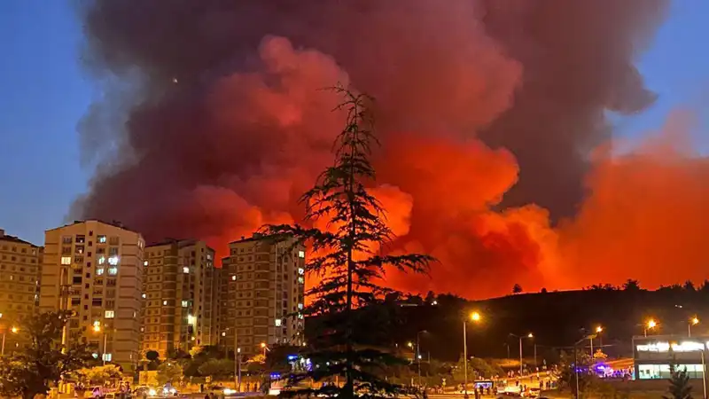 Bursa'da Yangın Alarmı: Şehirde Korkutan Yangınlar Patlak Verdi