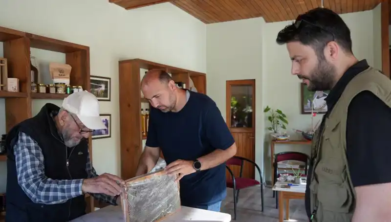 Şifalı Bitki: Her Gün Bir Çay Kaşığı Tüketmenin Riskleri ve Faydaları