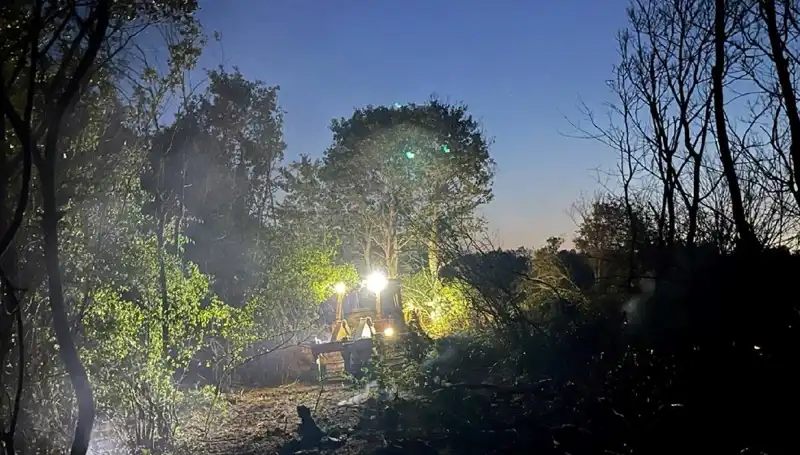 Edirne'de Orman Yangını: Ekipler Sonunda Başarıyla Mücadele Etti