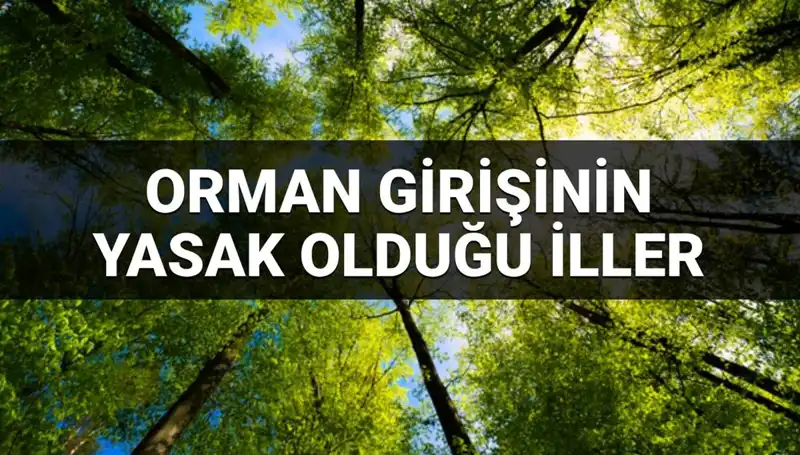 2025’te Ormana Girişi Yasaklanan İller: Hangi Bölgeler Etkilendi?