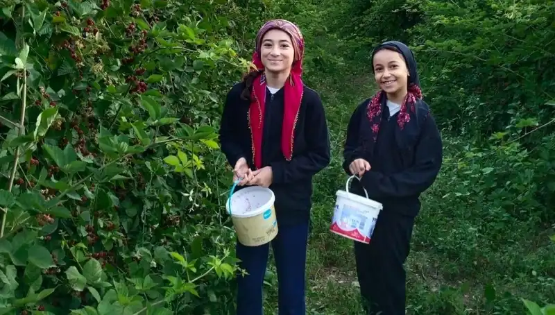 Antioksidan Zengini Gıdaların Sağlığa Faydaları ve Kanserle Mücadeledeki Rolü