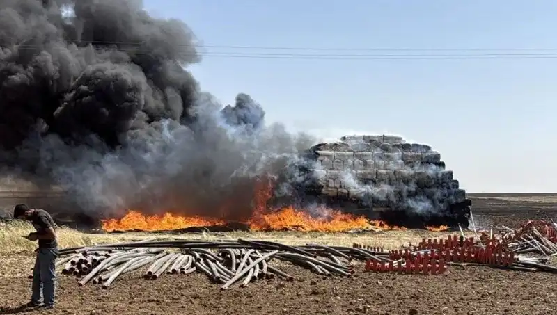 Mardin'de Kontrolsüz Anız Yangını, Doğayı Tehdit Altında Bıraktı