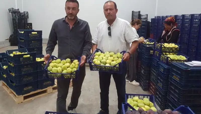 Mersinli Çiftçinin Yüzü Güldü: İhracatla 20 TL'den Satılan Ürünlerin Yükselişi