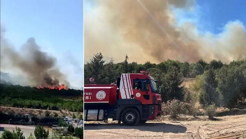 Gebze'de Tüyler Ürperten Orman Yangını: Neden ve Sonuçları